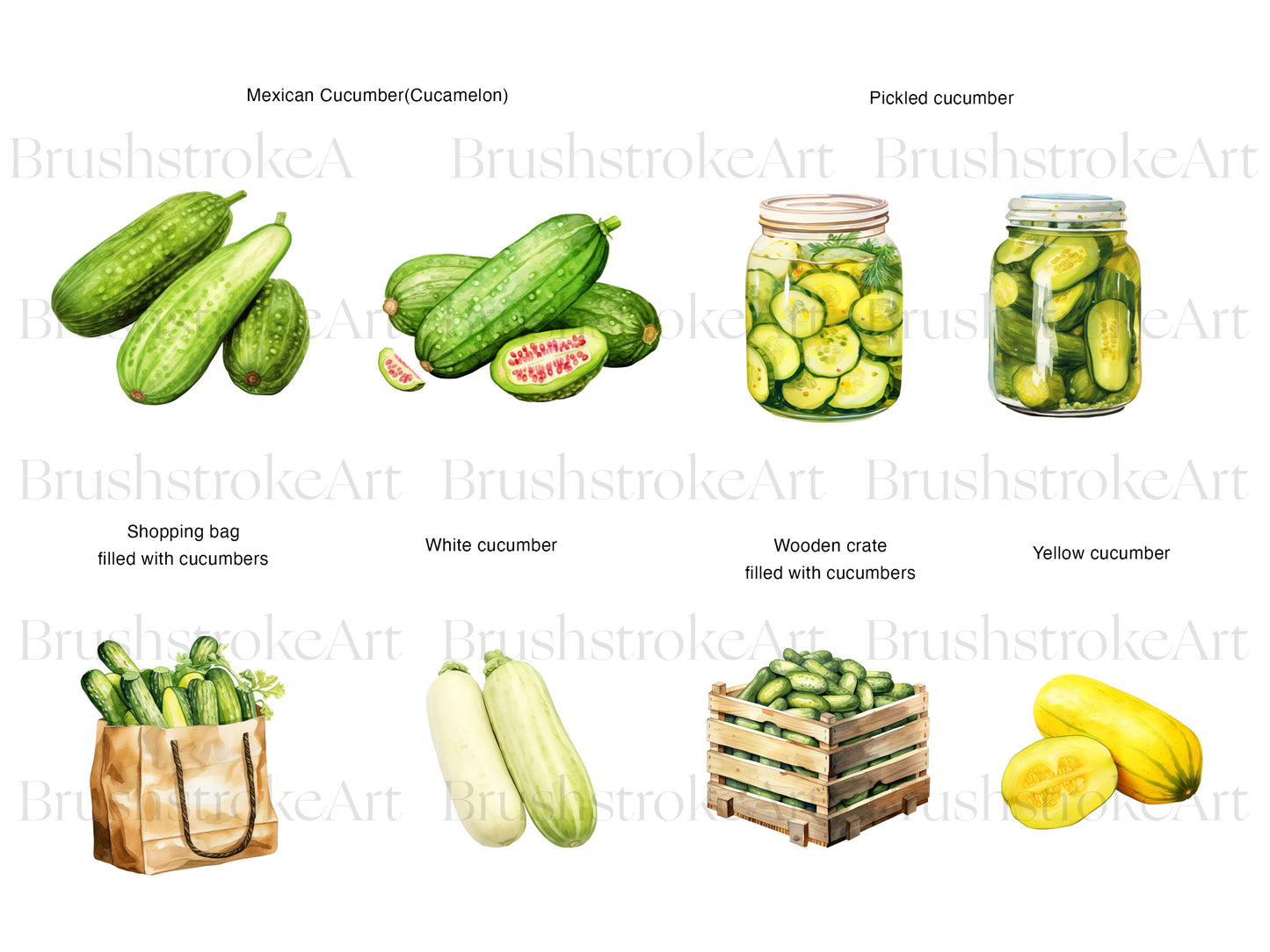 Pickle Clipart