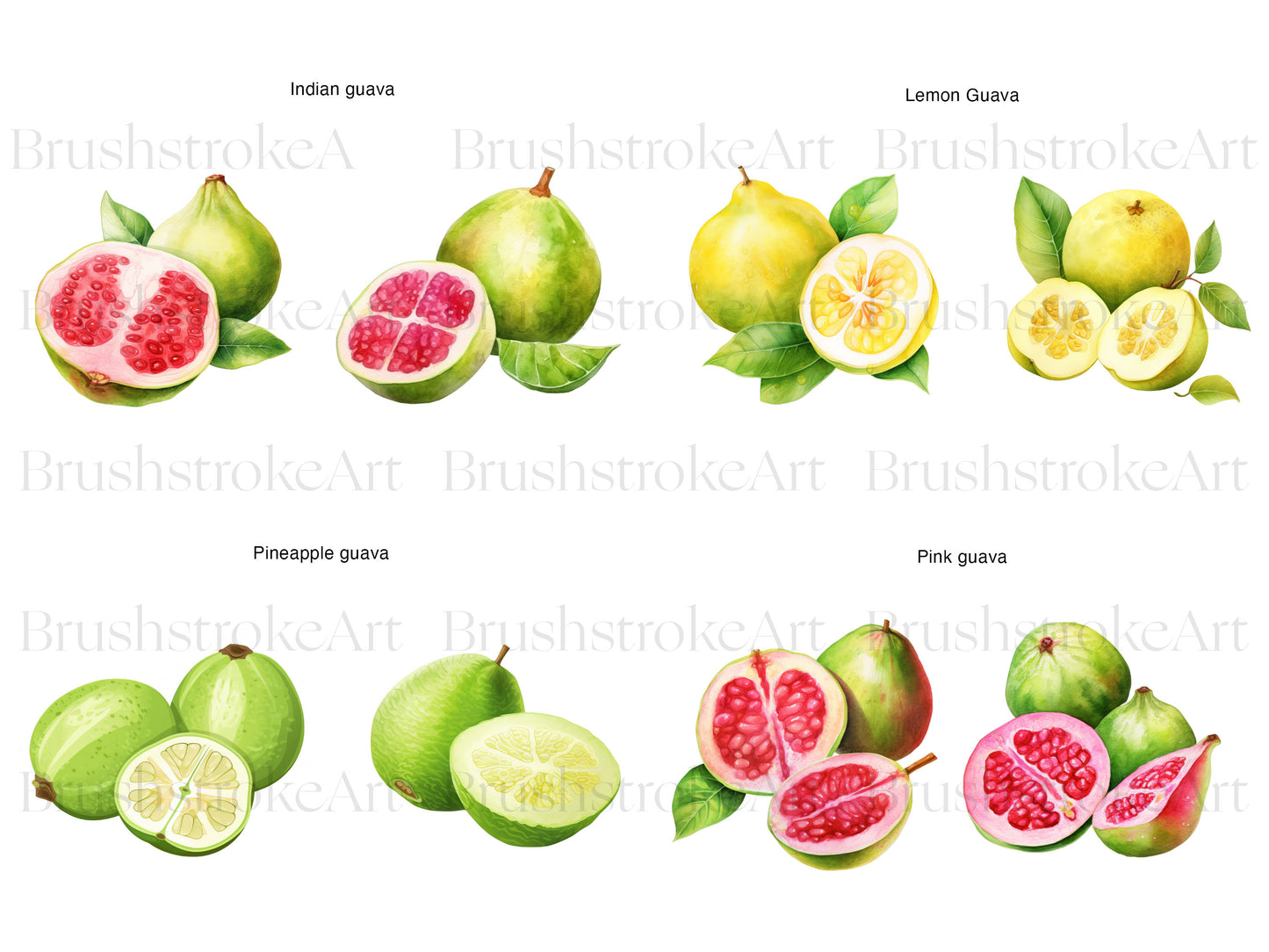 Pink Guava