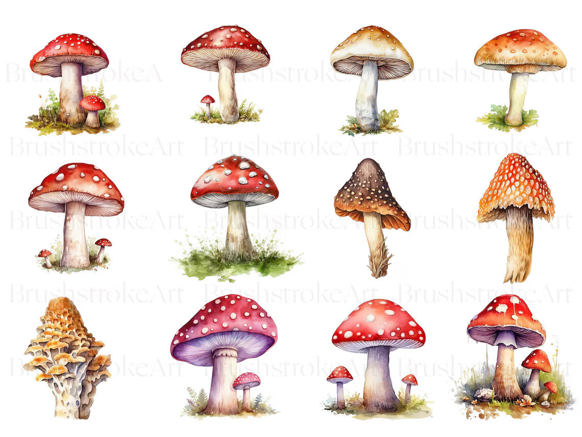 Pink Mushroom