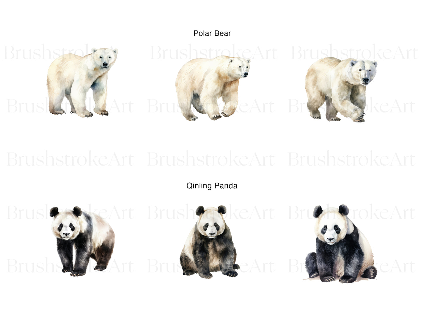 Polar Bear Clipart
