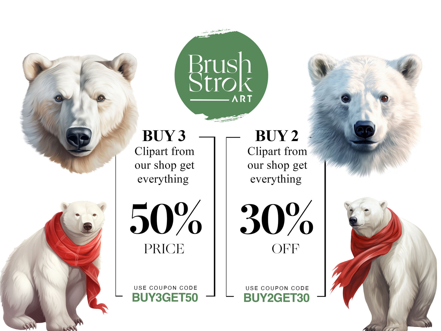 Polar Bear Images