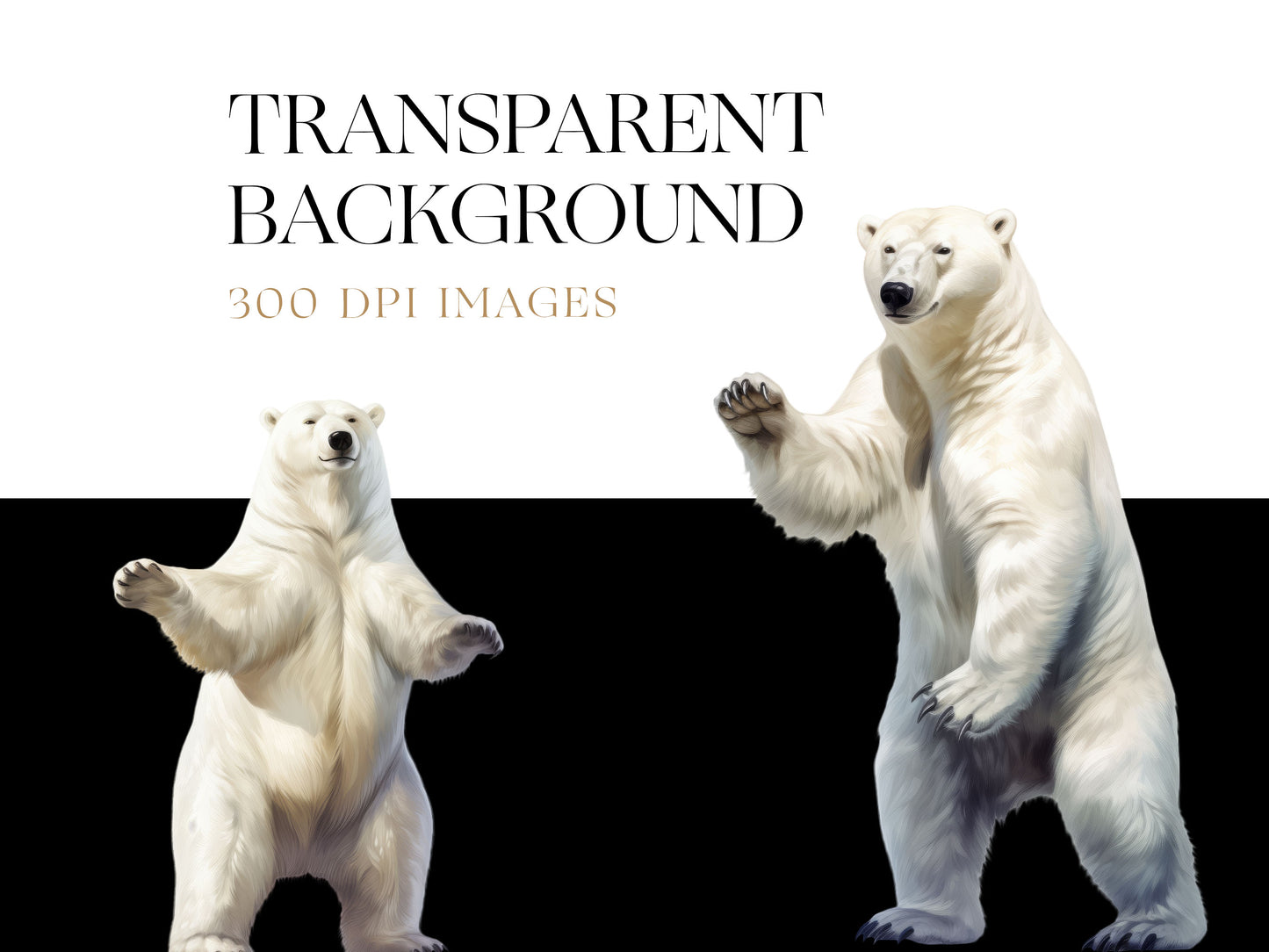 Polar Bear PNG