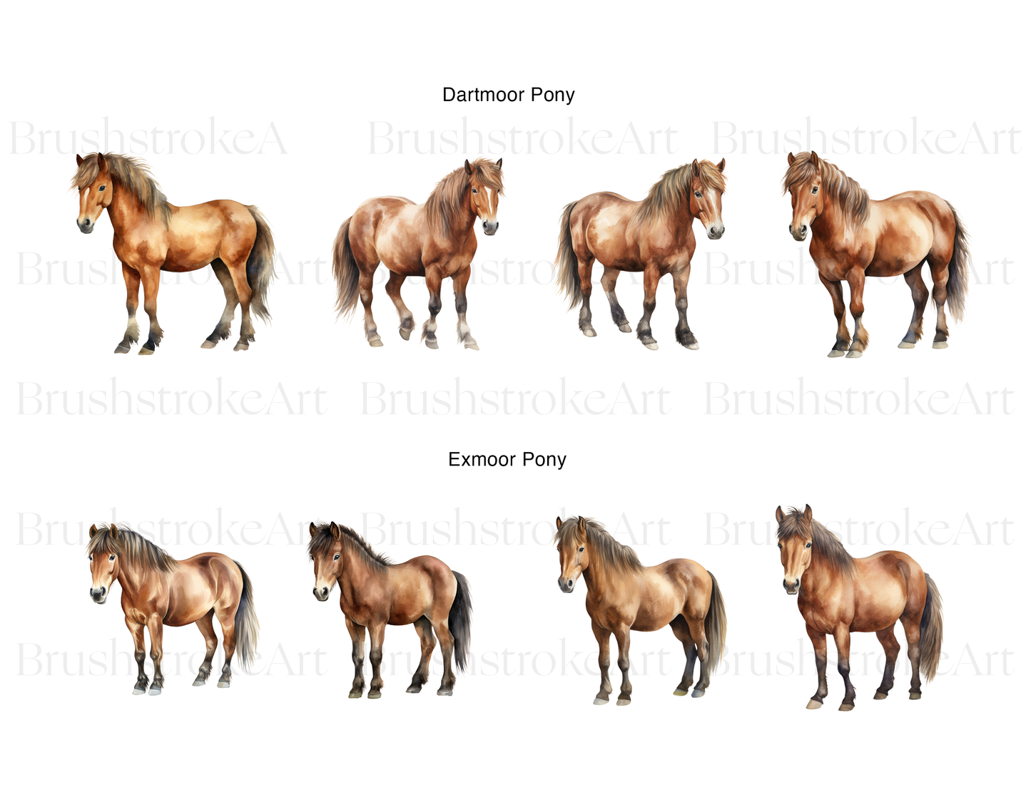 Pony Horse Clipart