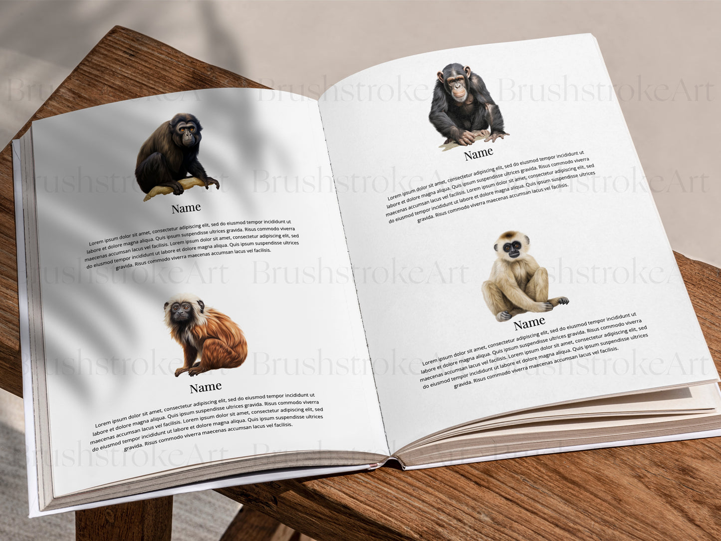 Primate Clipart