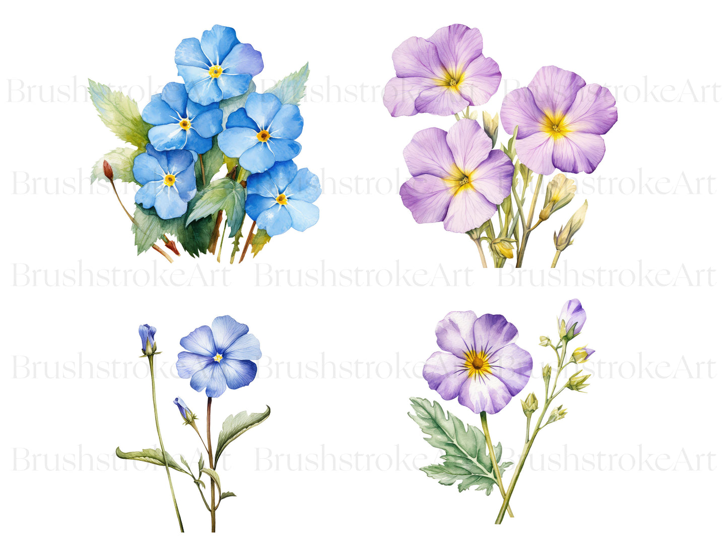 Primrose