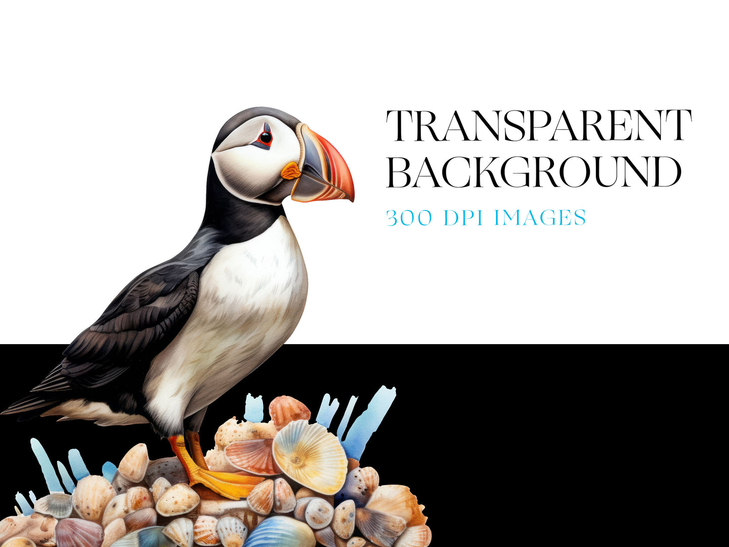 Puffin PNG
