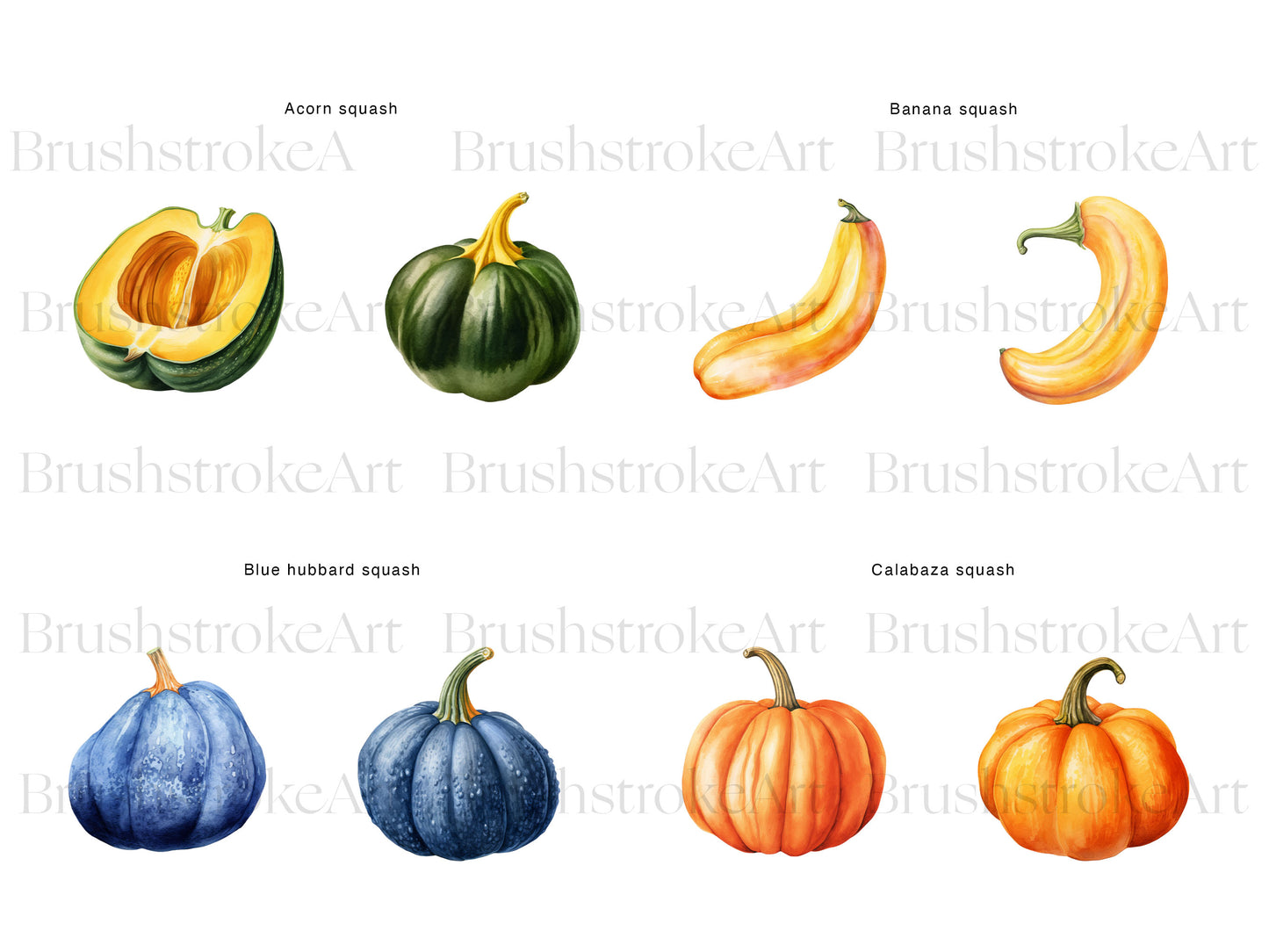 Pumpkin Clipart