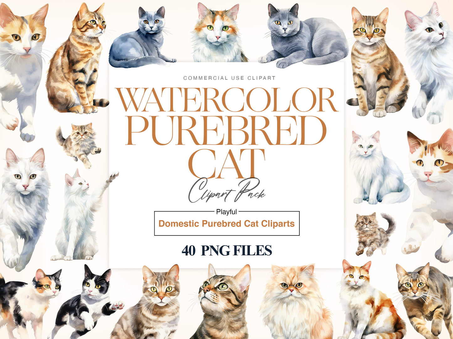 Purebred Cats