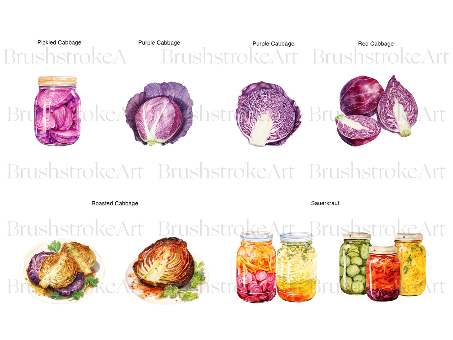 Purple Cabbage