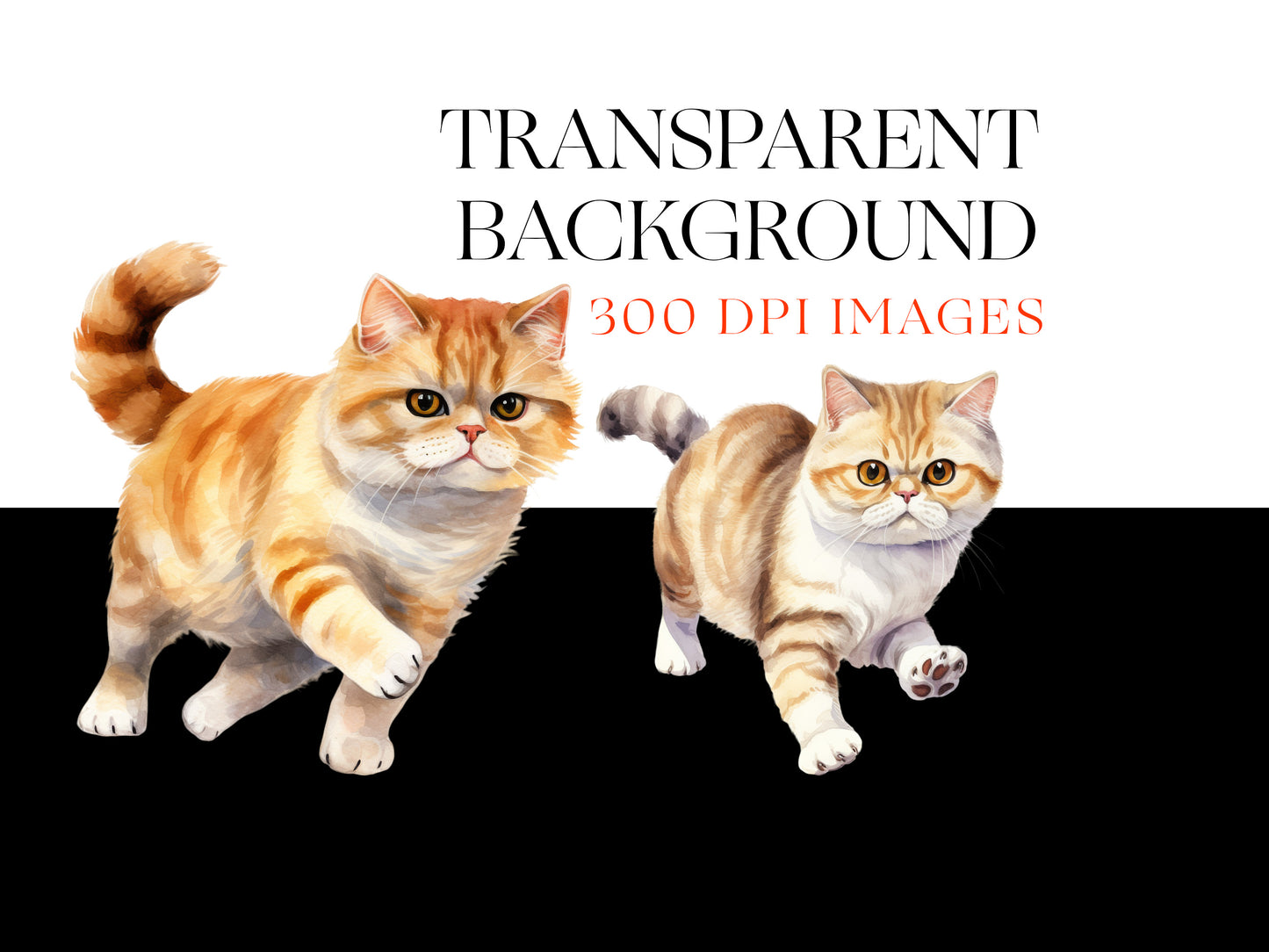 Quirky Cat PNG