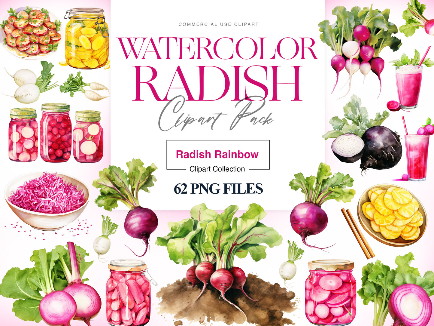 Radish Clipart