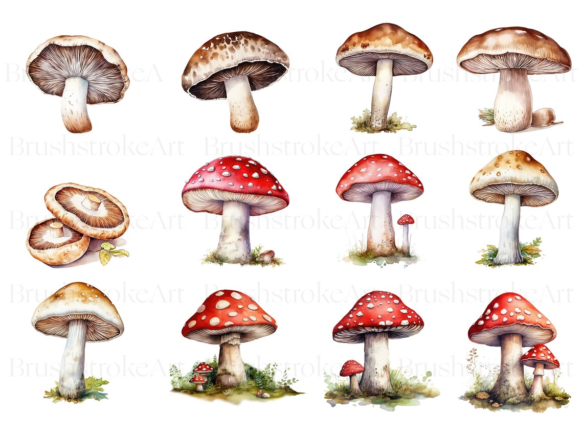 Red Mushroom