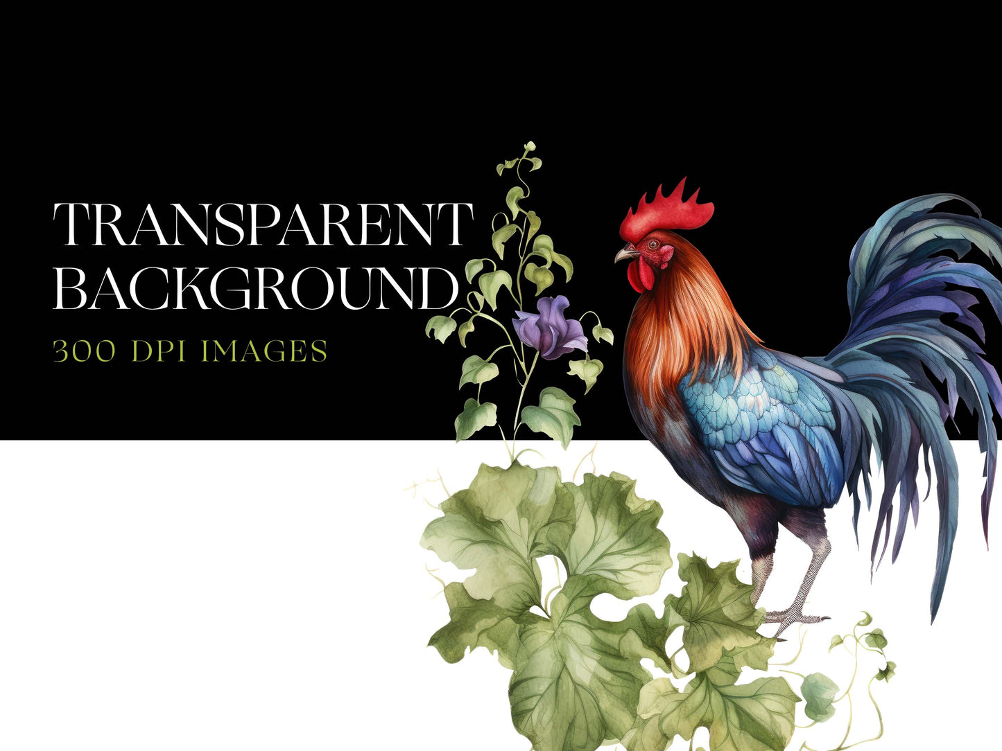 Rooster Png