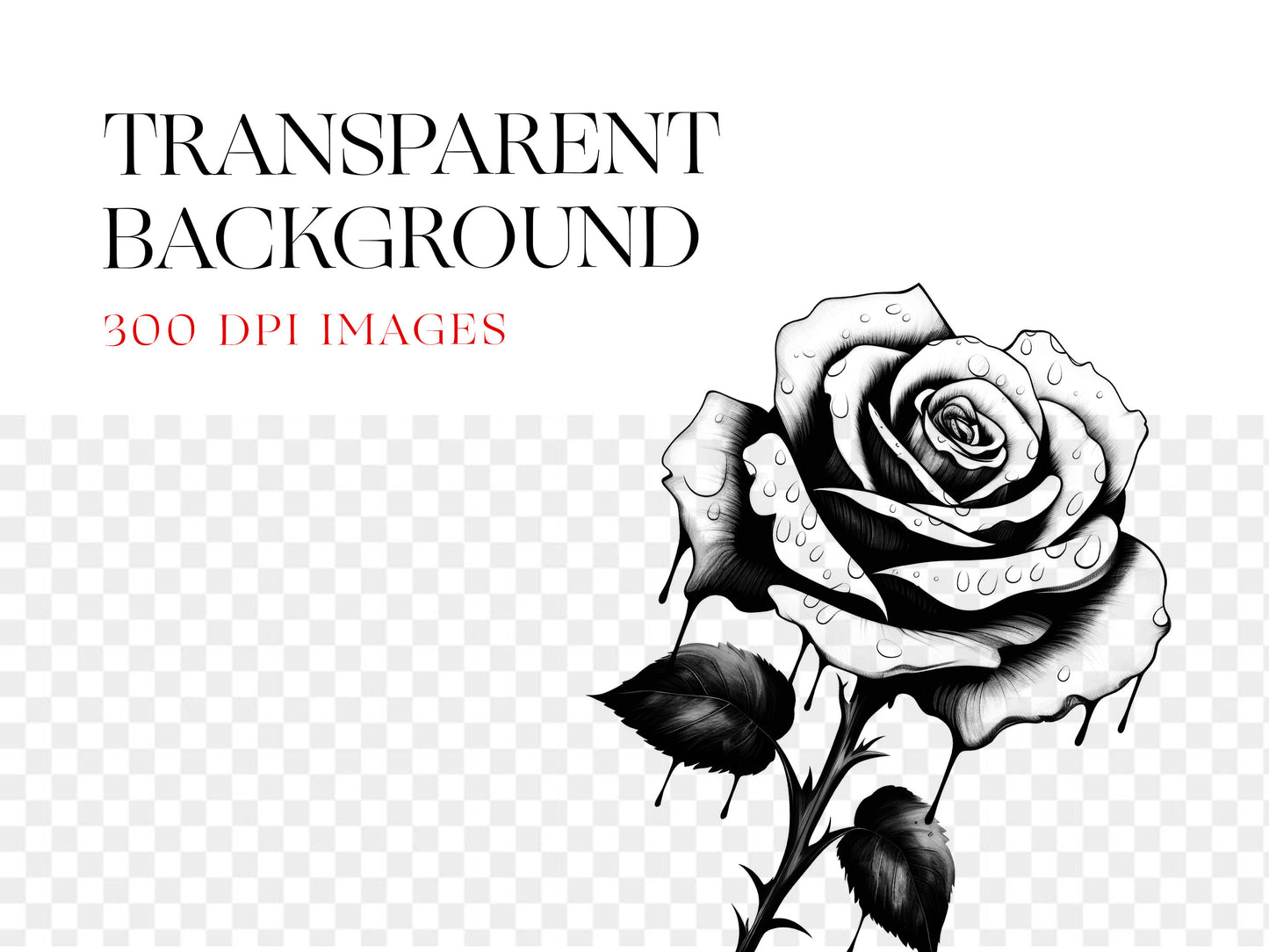 Rose PNG