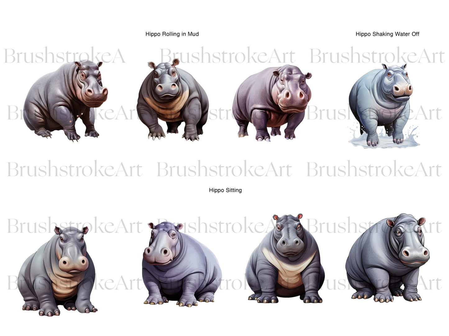 Safari Animal PNG