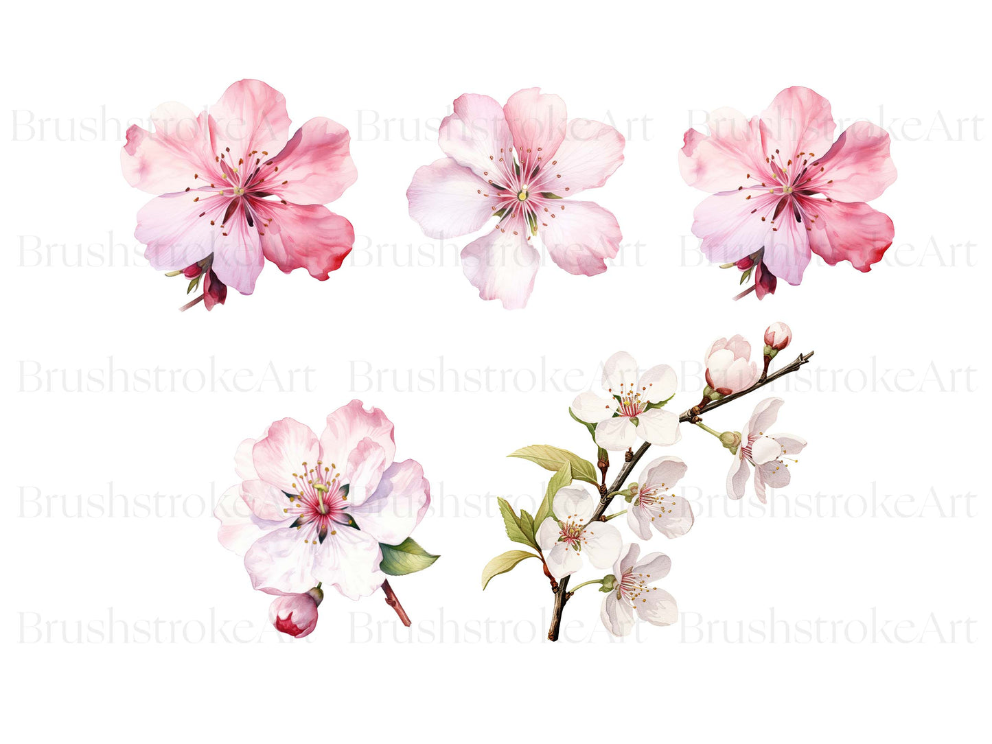 Sakura clipart