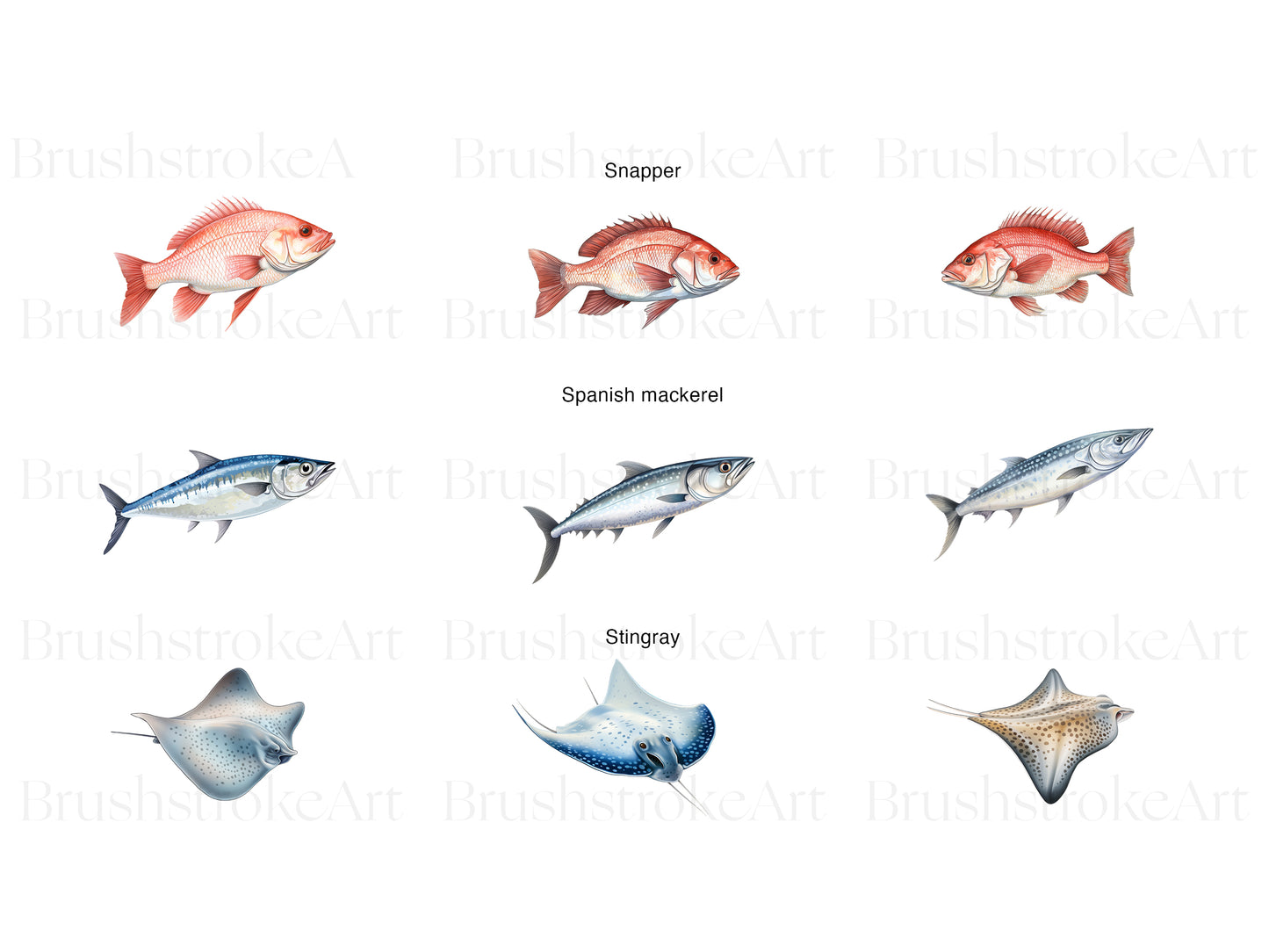Saltwater Fish