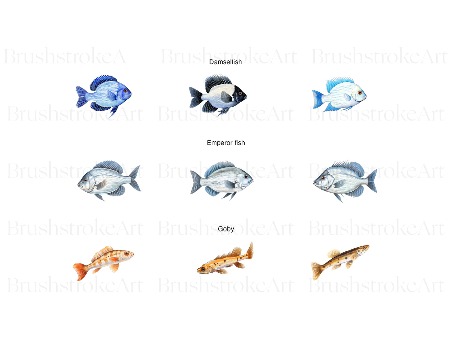 Saltwater Fish