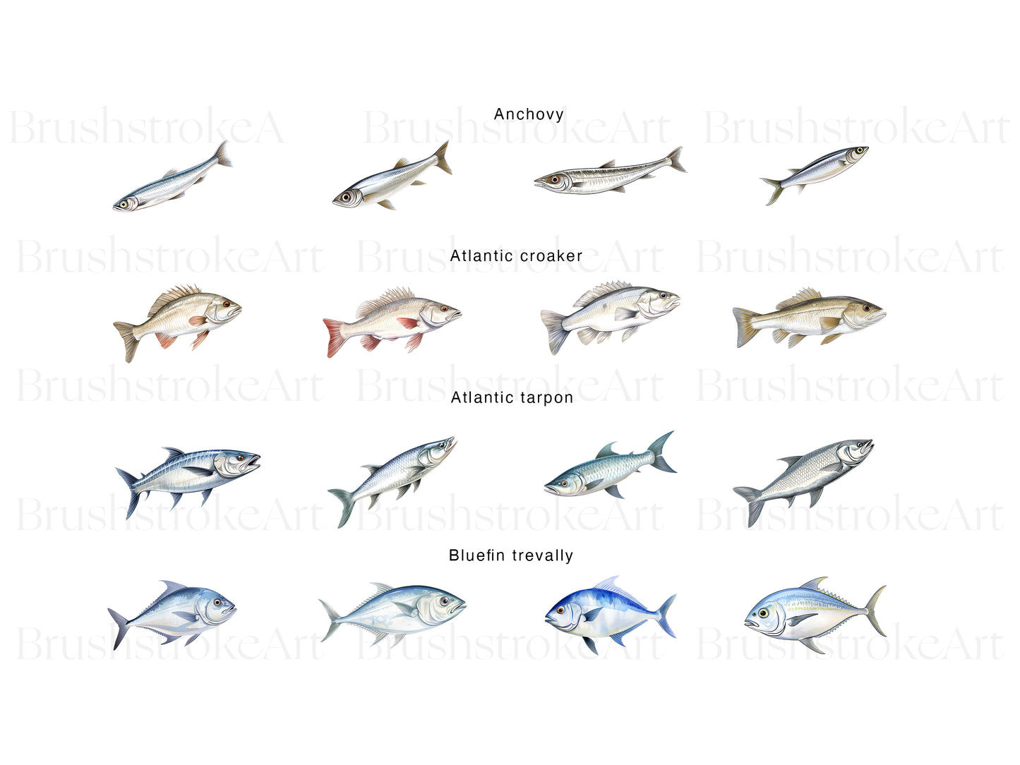 Saltwater Fish