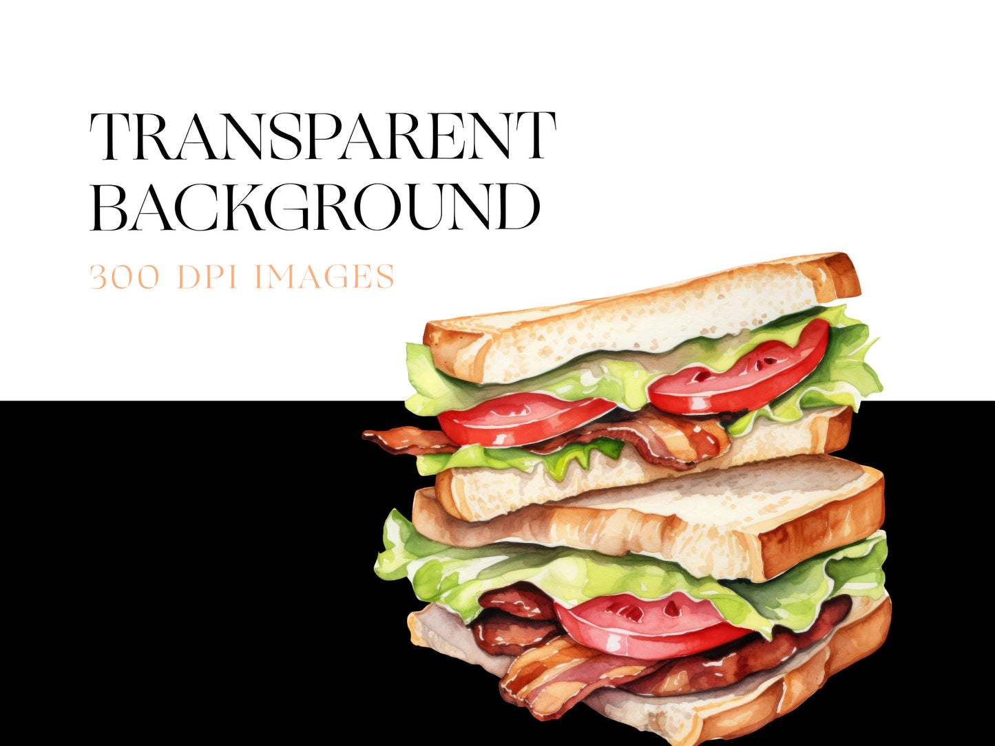 Sandwich PNG