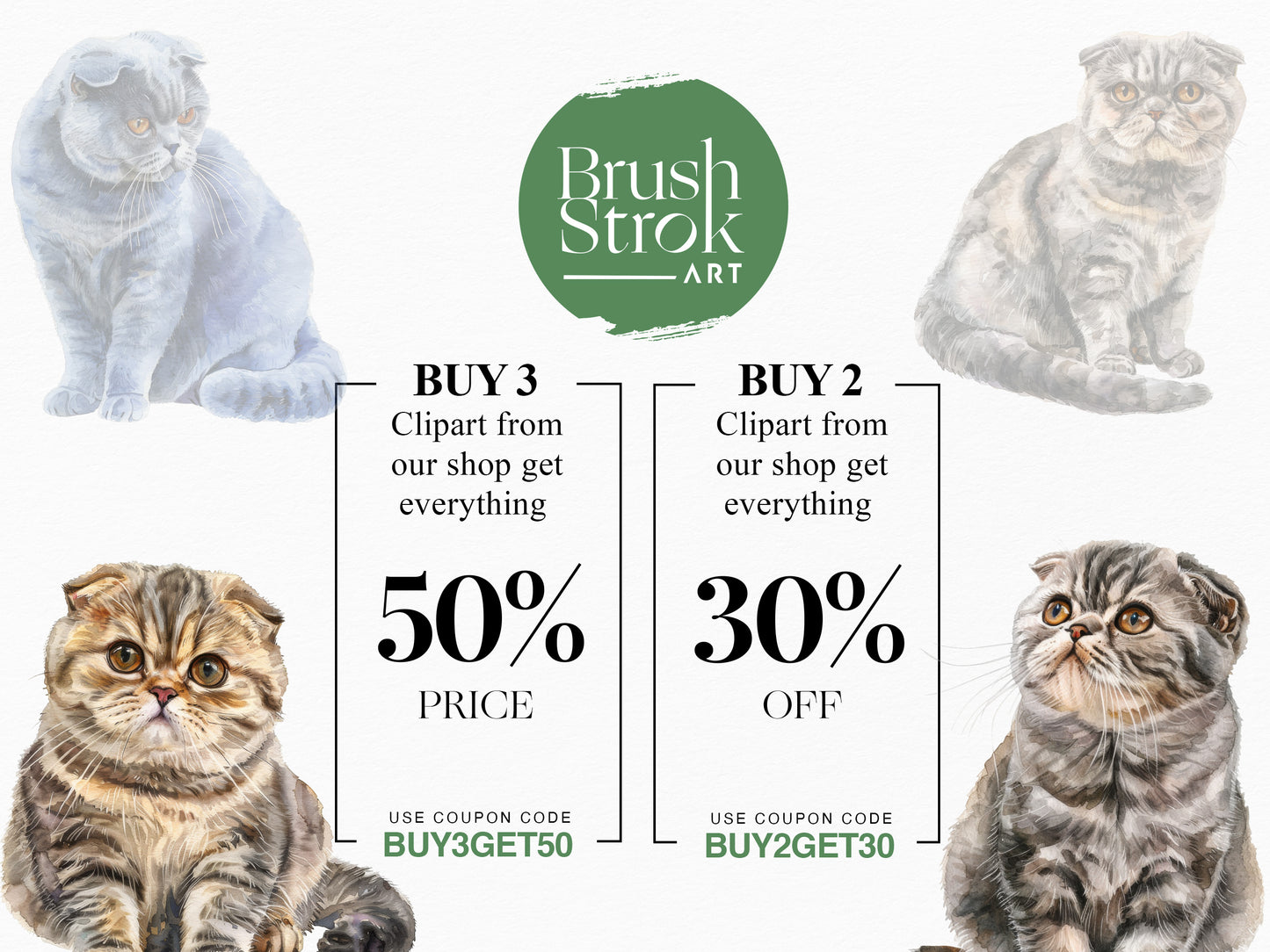 Scottish Fold Images