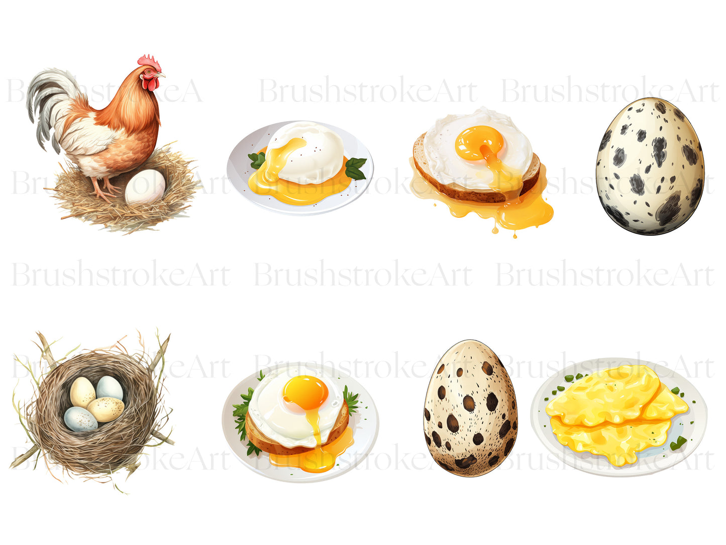 Scrambled EggImages