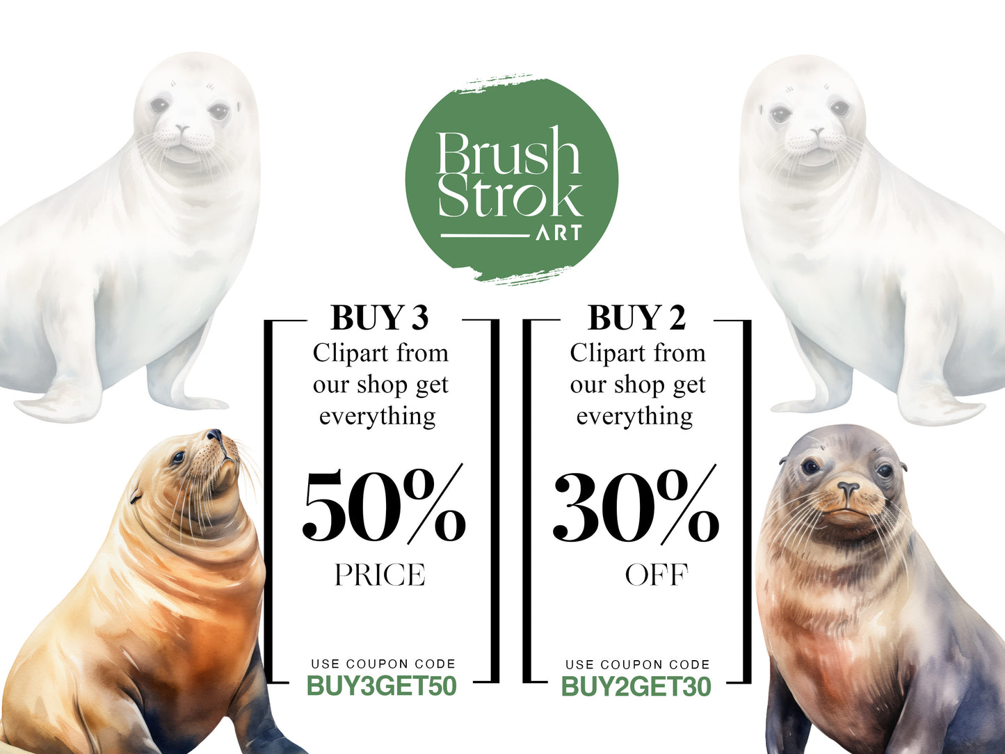 Seal Images