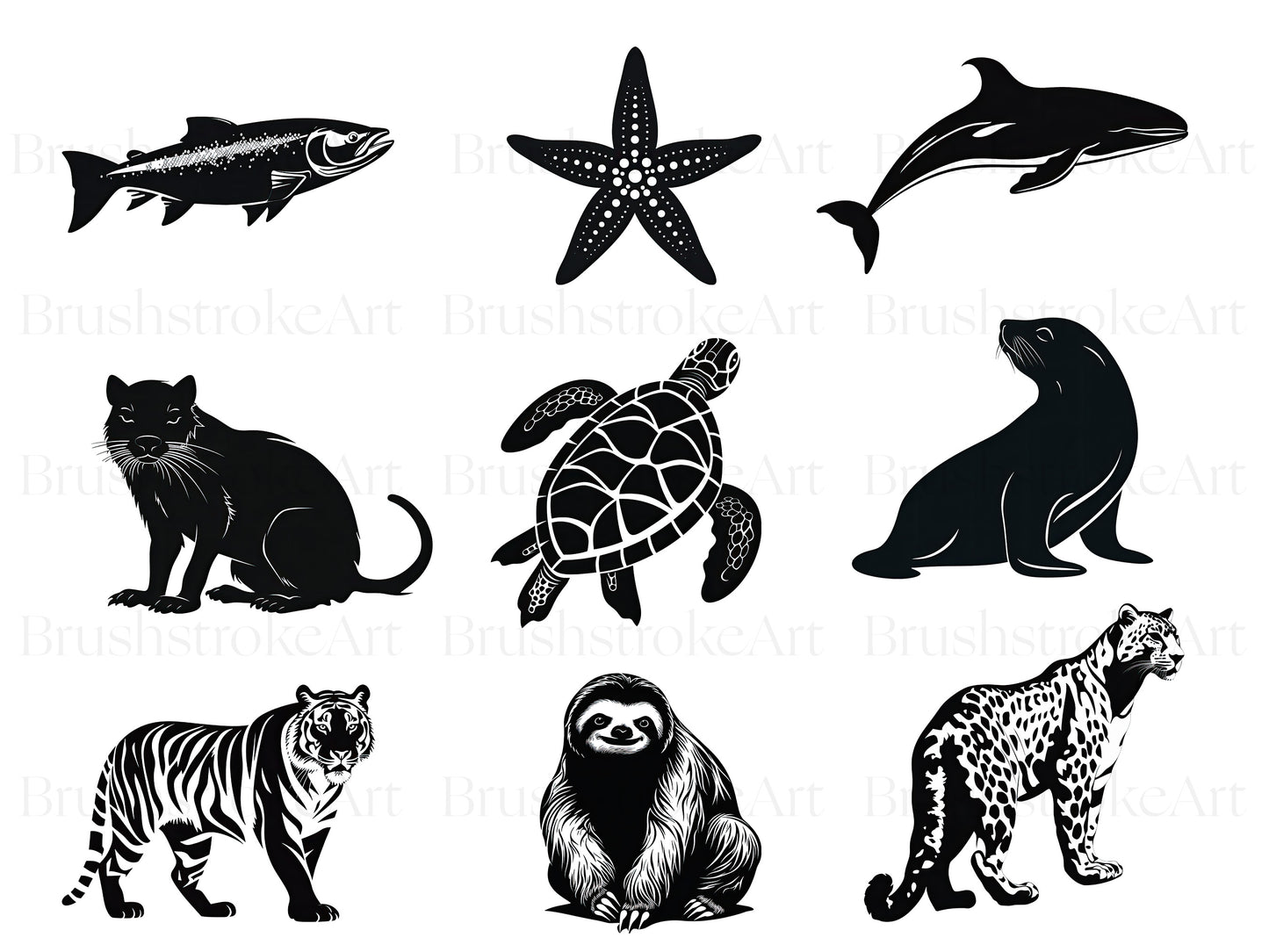 Sealife png