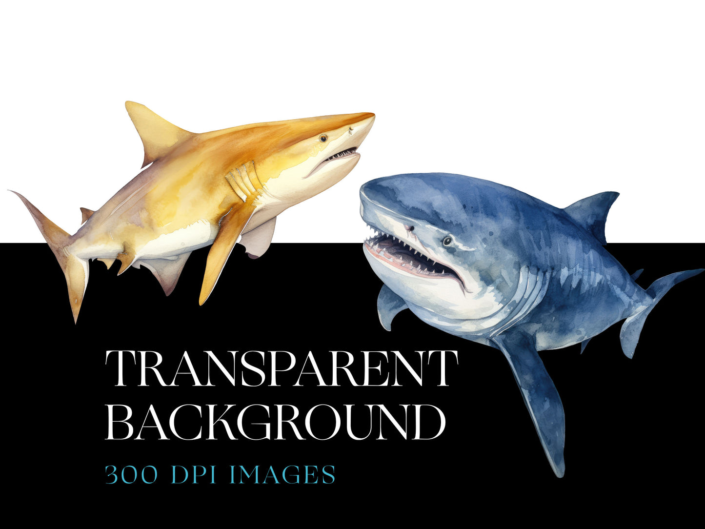 Shark PNG