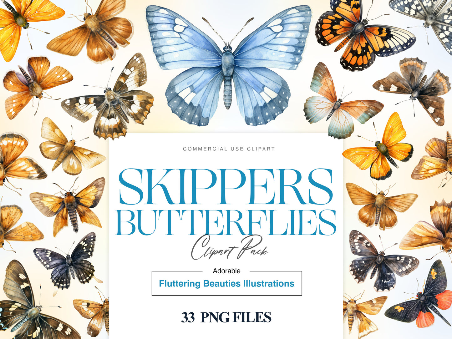 Skipper Butterfly