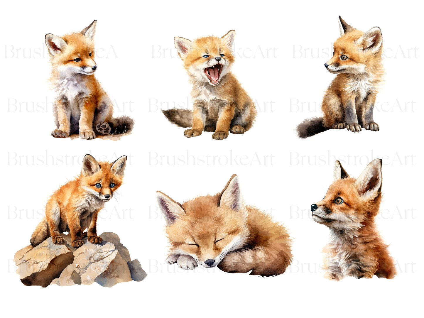 Sleeping Fox