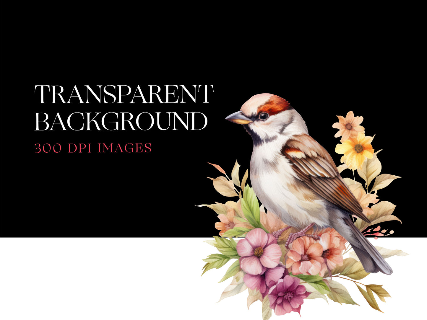 Sparrow PNG