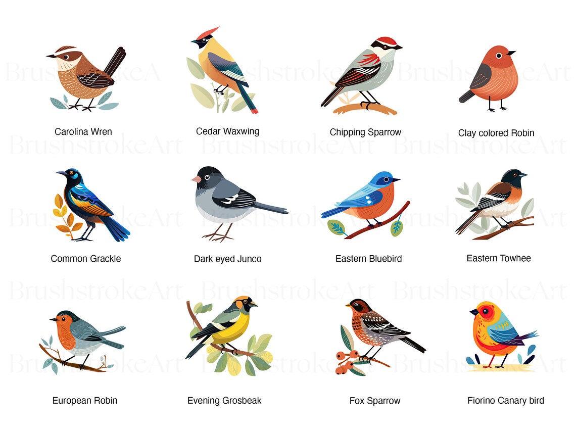 Sparrow clipart