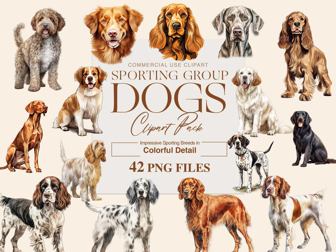 Sporting Dogs