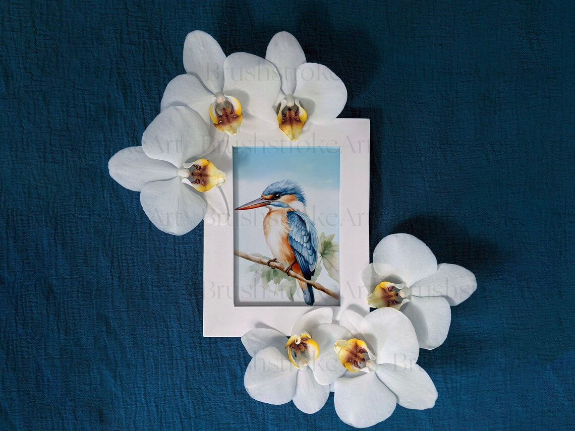 Spring Birds