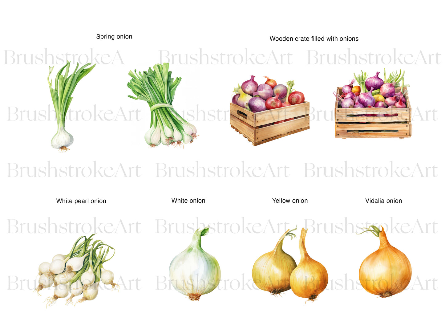Spring Onion
