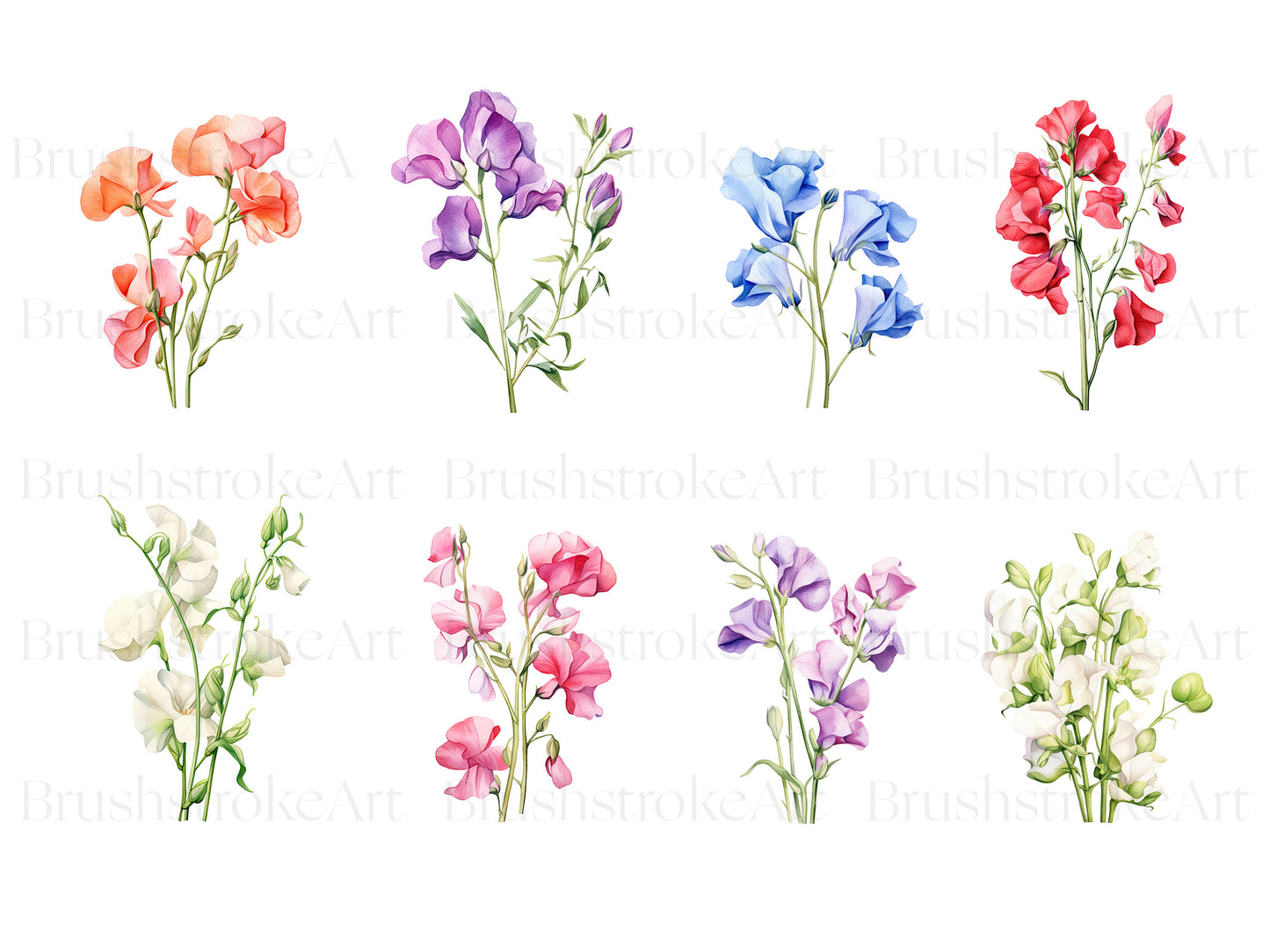 Spring clipart