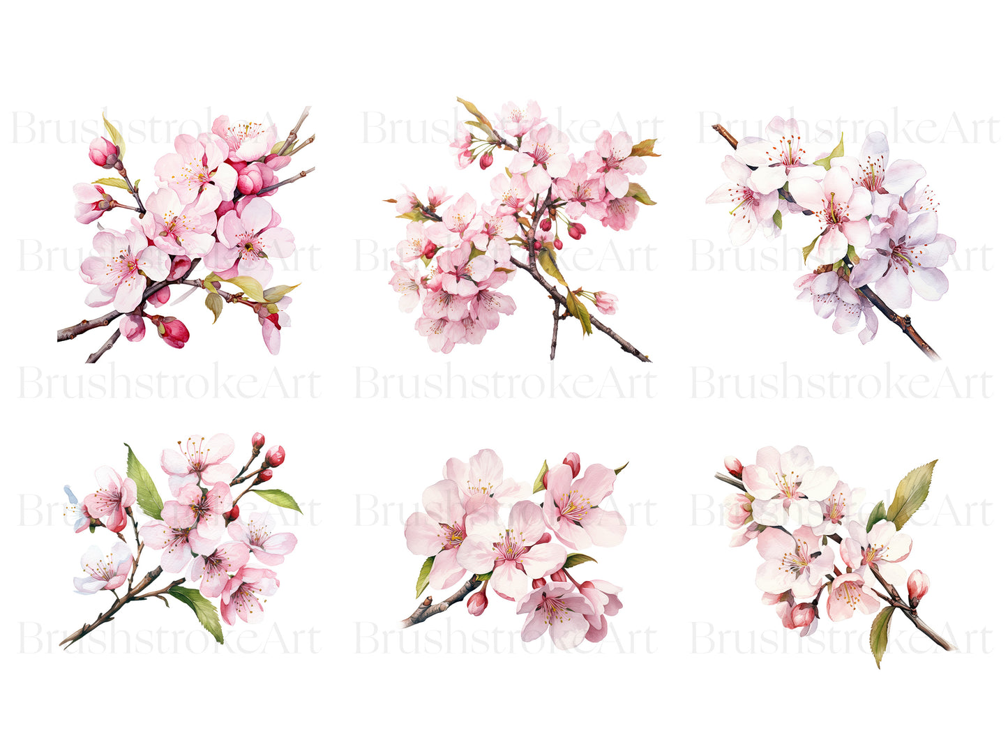 Spring flowers