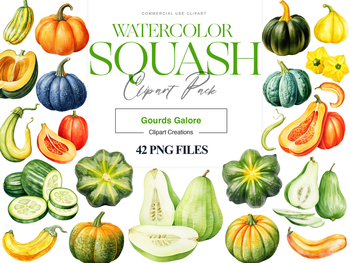 Squash Clipart