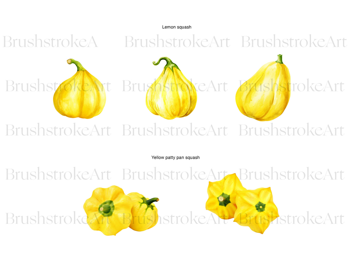 Squashes Clipart