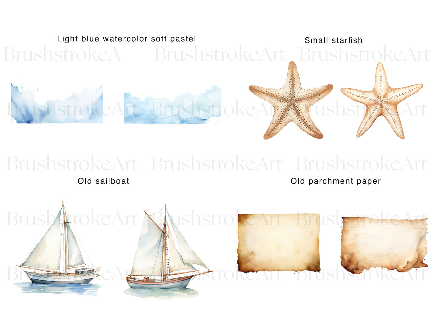 Starfish Clipart