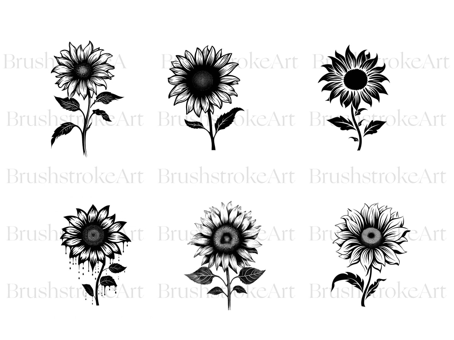 Sunflower Outline