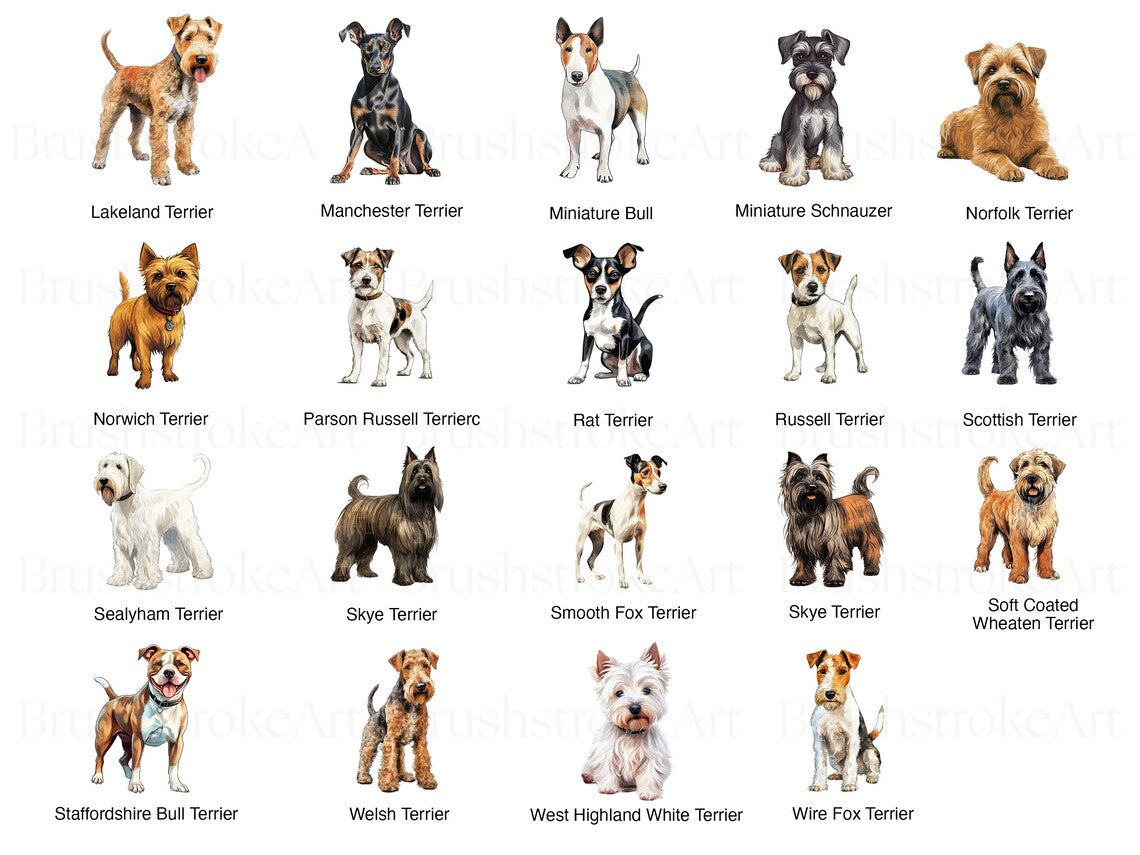 Terrier Art
