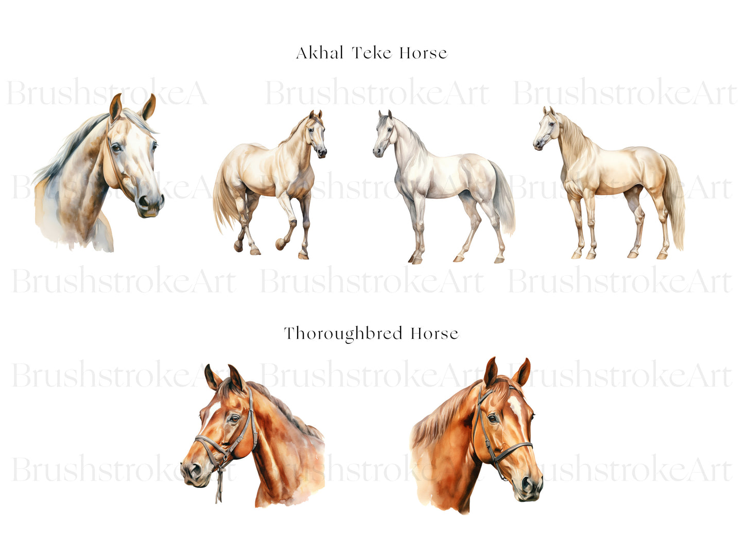 Thoroughbred Horse