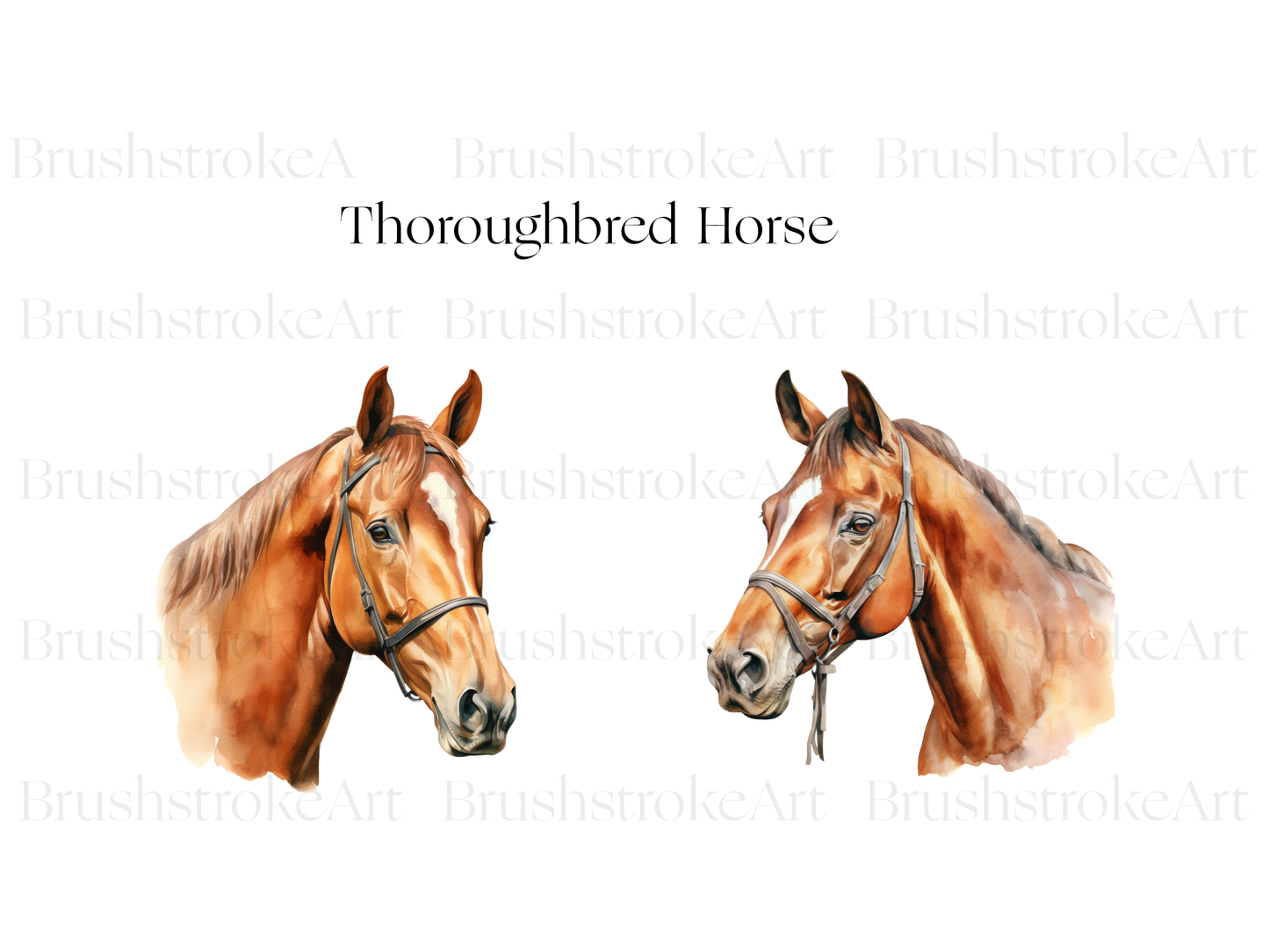 Thoroughbred Horse
