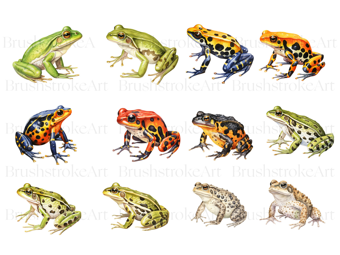 Watercolor Frog Clipart, Cane Toad, Leopard Frog PNG, Toad