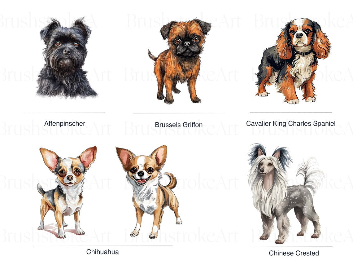 Toy Dogs