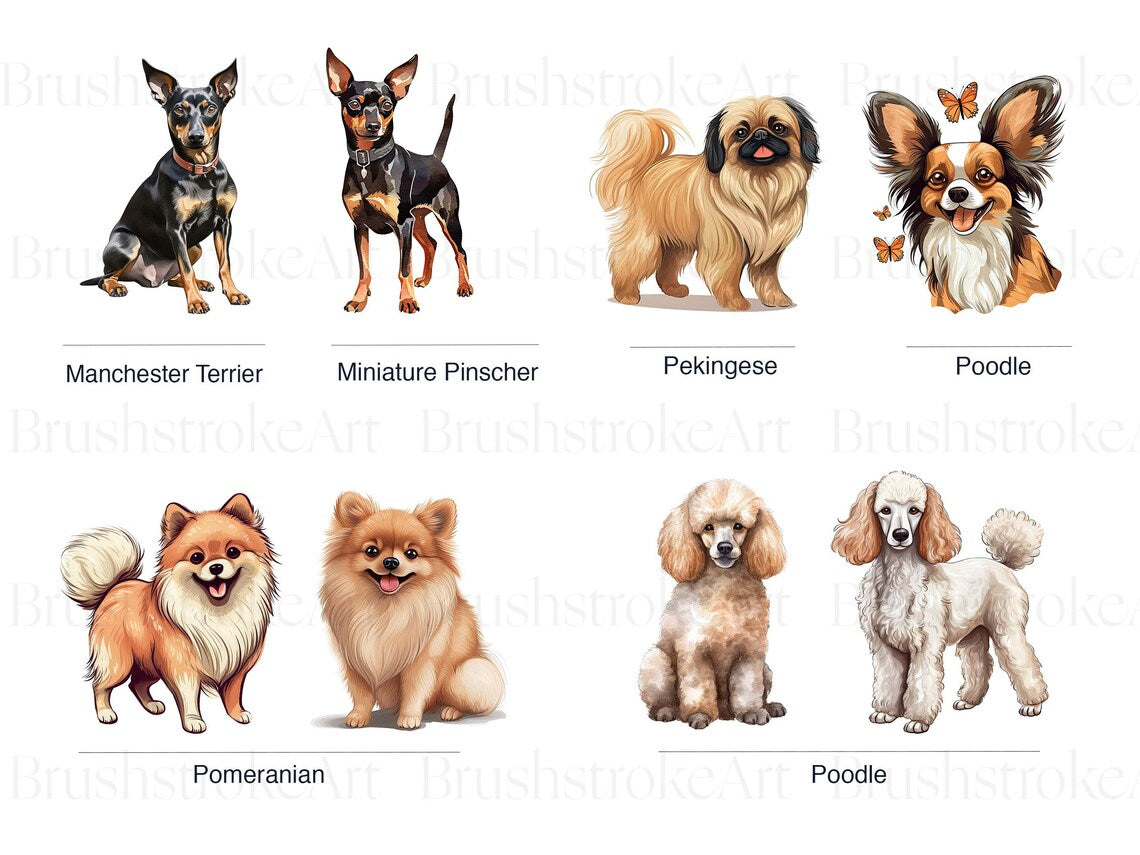 Toy Group Clipart