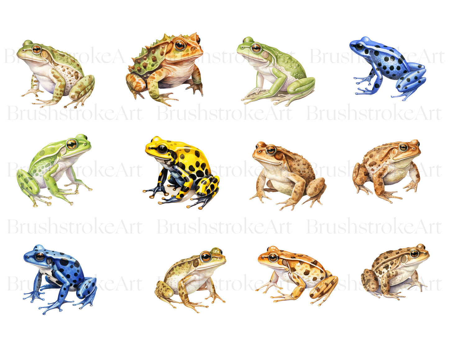 Watercolor Frog Clipart, Cane Toad, Leopard Frog PNG, Toad