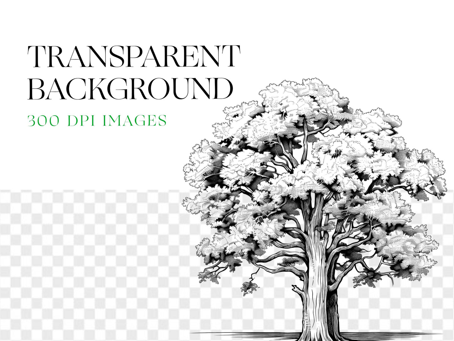 Tree PNG